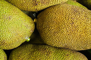 Fresh ripe jackfruit