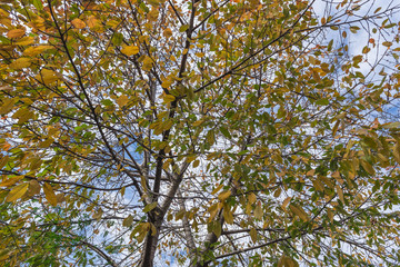 Obraz premium Views of Salerno, Mediterranean city of southern Italy.