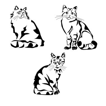 Vector illustration of a cat stencil, tattoo.