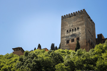 Fototapeta premium Alhambra's tower from the bottom 