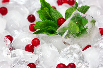 Frozen cowberry with fresh mint leaves on ice cubes