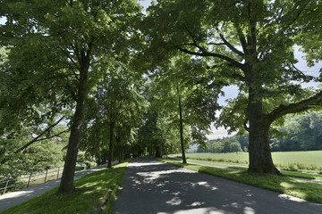 The famous Lichtentaler Allee in Baden Baden. Where emperors and czars strolled. Baden Wuerttemberg, Germany, Europe
