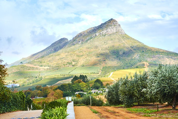 Vineyard mountains in Stellenbosch valley South-Africa