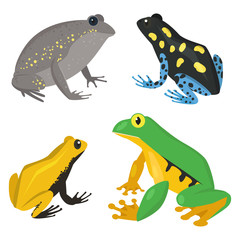 Frog vector cartoon tropical wildlife animal green froggy nature funny illustration toxic toad amphibian.