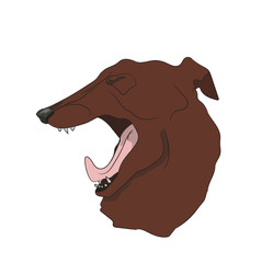 dog portrait profile, look down