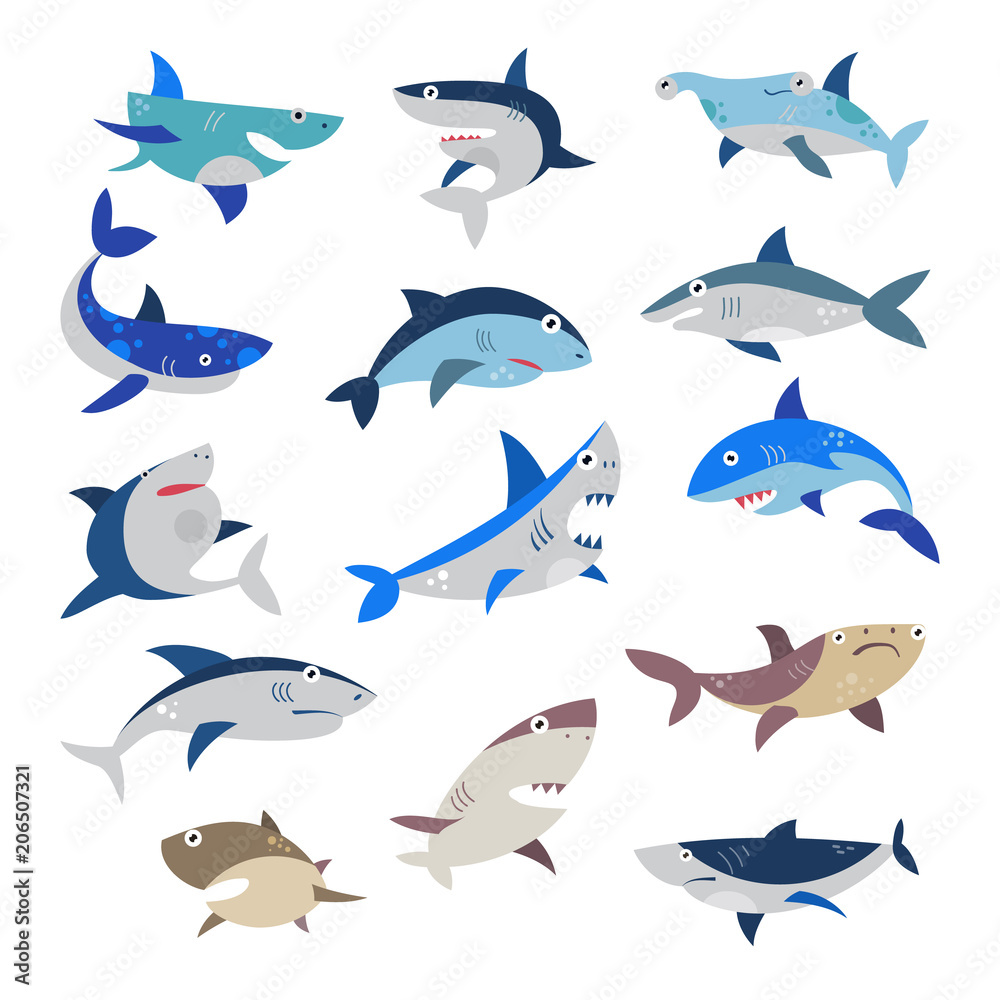 Wall mural Shark vector cartoon seafish with sharp teeth in jaw illustration set of attacking fishery character in ocean isolated on white background