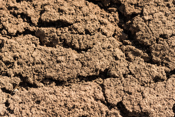 Soil texture close-up
