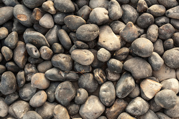 abstract sea stone texture. sea pebbles