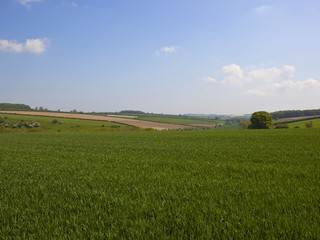 Obraz premium Yorkshire Wolds scenic countryside