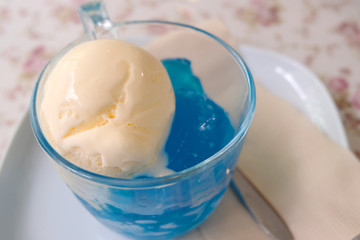 Homemade Organic Vanilla Ice Cream