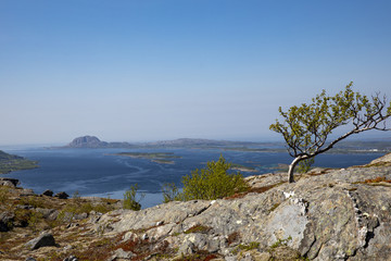 Fototapeta na wymiar On a trip to the mountain Kauarpallen in great weather in Northern Norway