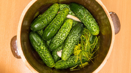 Making pickled cucumbers in clay jar