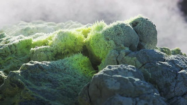 Volcanic activity, sulfur fumarole and hot gas on the slope of Ebeko volcano, Northern Kuriles, Paramushir Island