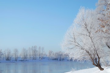 snowy freeze trees and frost ,blue river