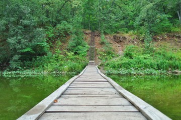 bridge on water in forest