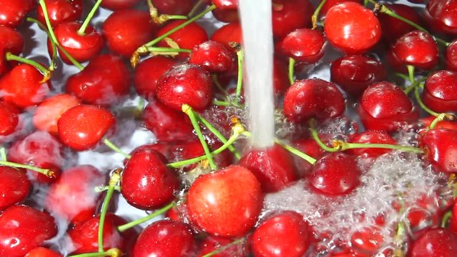 Ciliege Rosse con Getto d'Acqua, Red Cherries with Water Jet