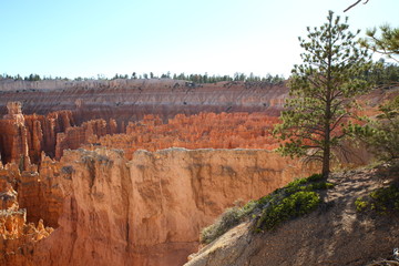 Bryce Canyon 16