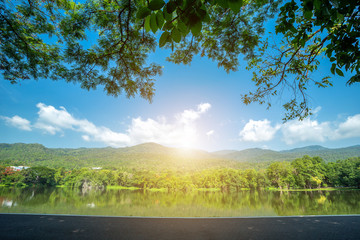 Fototapeta premium Along road landscape view in Ang Kaew Chiang Mai University Forested Mountain blue sky background with white clouds, Nature Road in mountain forest.