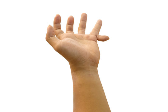 real six finger human hand on white background
