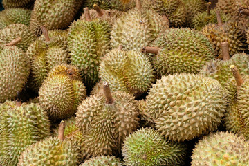 Naklejka na ściany i meble Durian is fruit in Thailand
