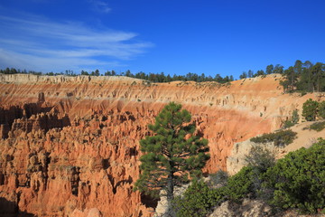 Fototapeta na wymiar Bryce Canyon 32