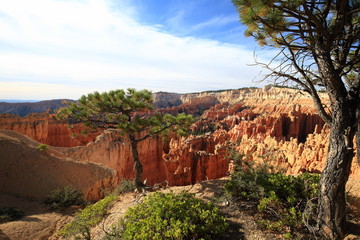 Bryce Canyon 42