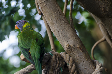Zoo