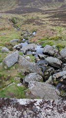 Hidden Stream