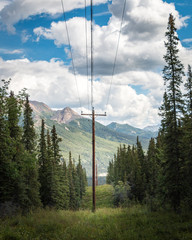 Telephone post line through the forest in Alaska