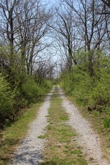 Fototapeta premium The gravel road trail in the country landscape of the park.