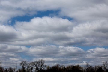 The white puffy clouds in the blue sky.