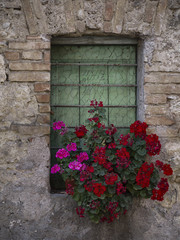 finestra fiorita