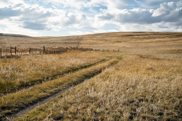 Fototapeta na wymiar Late Season Fenced Range on Douglas Lake Ranch