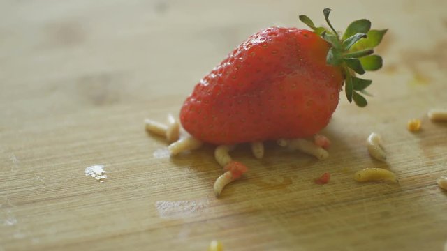 Creepy worms are crawling over strawberries in kitchen table.