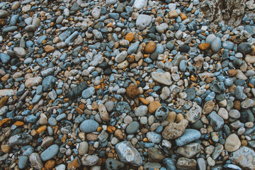 Pebble Beach California Coast