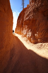 Bryce Canyon peek a boo loop trail 