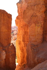 Bryce Canyon 77