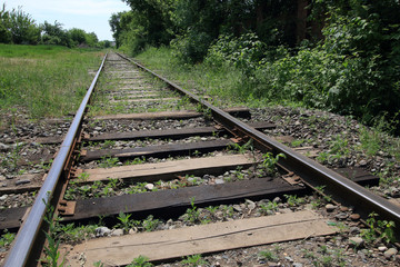 Obraz premium An old single-track railway through a forest in the countryside