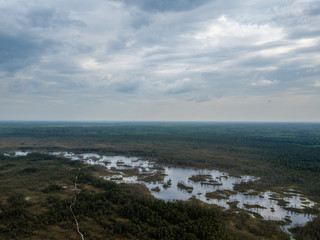 drone image. aerial view of swamp lake