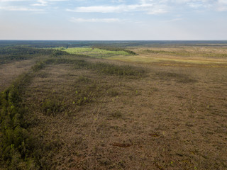 drone image. aerial view of swamp area with foot walk trails