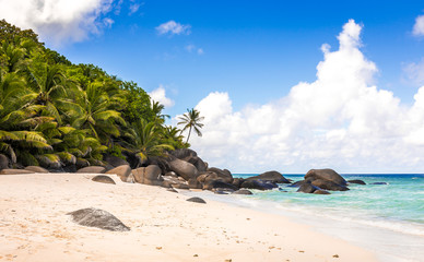Fototapeta na wymiar Paradise beach in the Seychelles