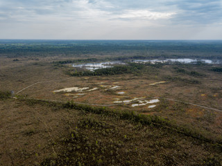 drone image. aerial view of swamp area with foot walk trails