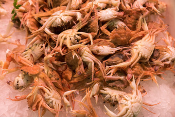 market sea fish