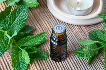 A bottle of essential oil with fresh peppermint twigs