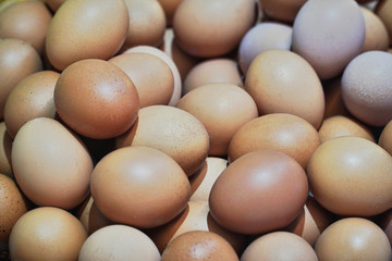 Pile of organic fresh and raw hen chicken eggs for sale at local farmer market.High protein nutrition for healthy.Food,Business,Easter Concept.