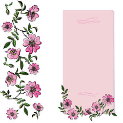 Vector botanical vertical banners with pink rose flowers.  Can be used as greeting card