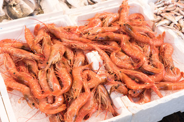 Fresh fish at the Naples market
