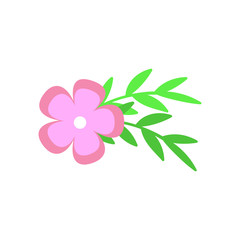 Floral text divider. Flowers and leaves. Bouquet design for wedding invitations or greeting cards. Vector