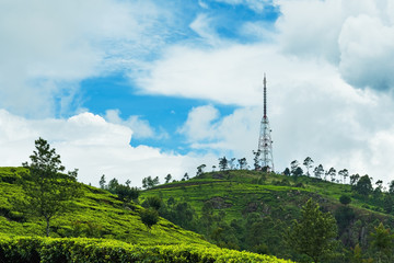 Fototapeta na wymiar View on green tea plantation and communication tower in Haputale. Main agricultural industry in Sri Lanka