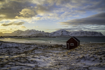 Samotny © jadria